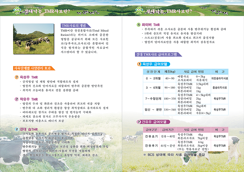 경대낙농 TMR사료란? 팜플렛 2