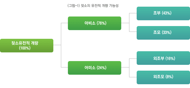 젖소의 유전적 개량 가능성