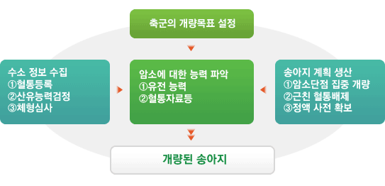 축군의 개량목표 설정